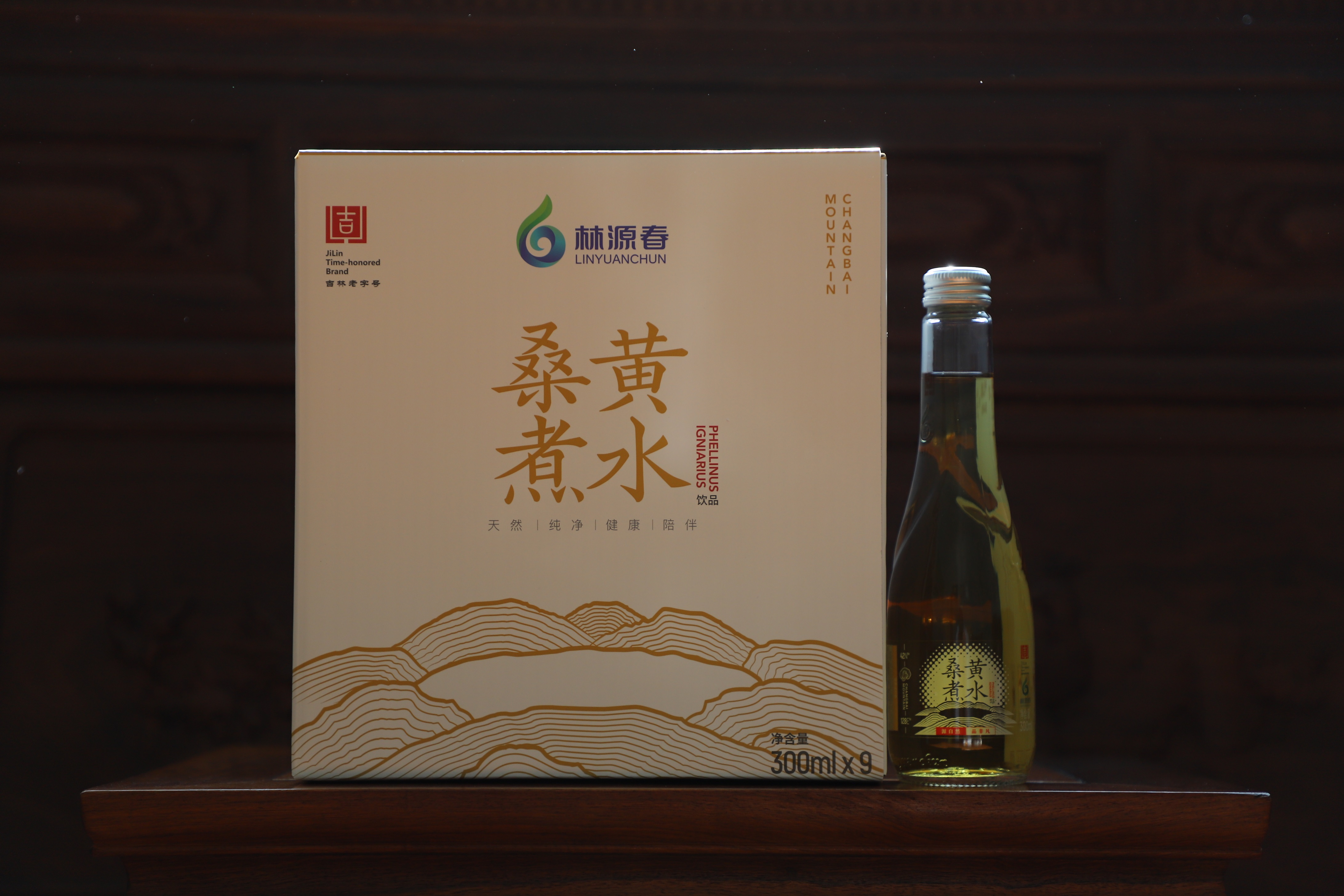 林源春桑黃煮水飲品